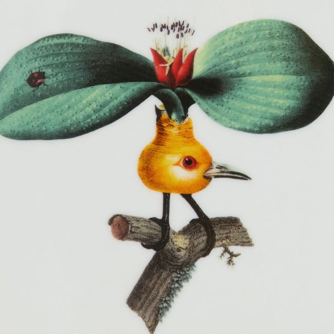 LA DOUBLE J | La Double J | Trinket Tray | Leafflyer