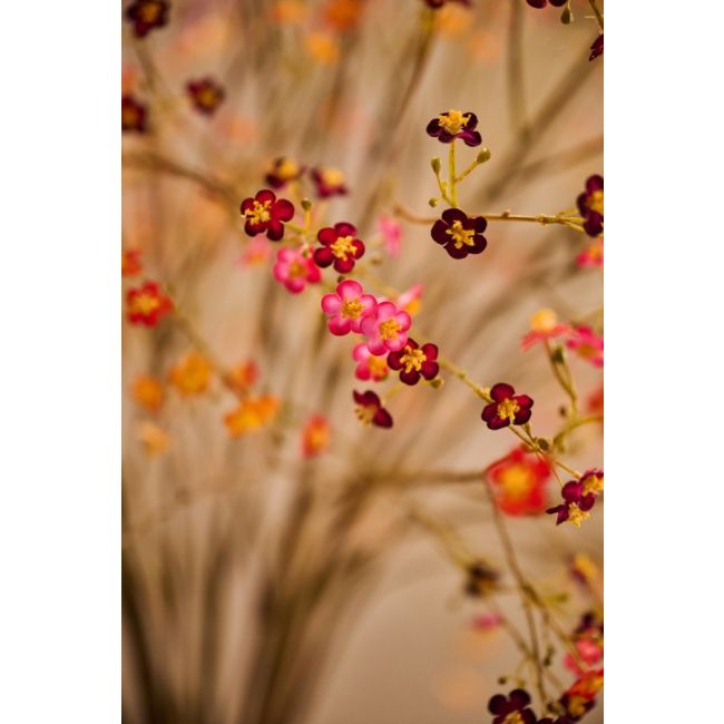 SILK-KA | Silk-ka | Vergeetmeniet Tak | Rood/Oranje | 76cm