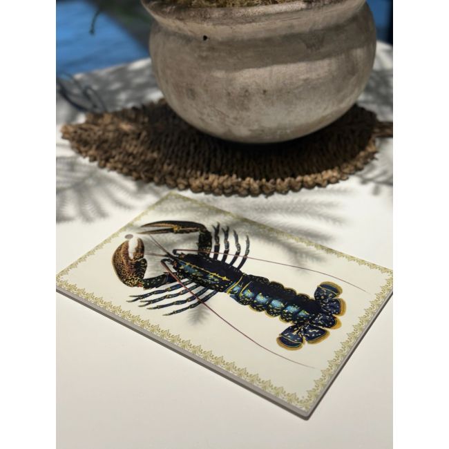 VANILLA FLY | Vanilla Fly | Tray | Lobster