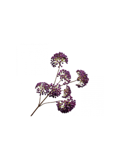 Silk-ka | Bessen Tak Lavendel/Paars | 101cm