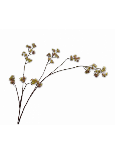 Silk-ka | Aralia Tak Groen | 140cm