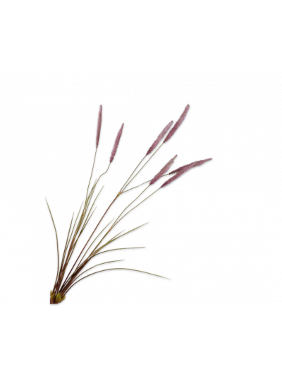 Silk-ka | Gras tak | Roze | 101cm