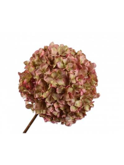 Silk-ka | Hortensia | Roze / Groen | 70 cm