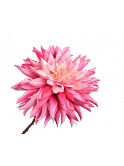 Silk-ka | Dahlia Tak | roze | 65cm