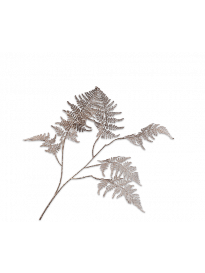 Silk-ka | Asparagus tak | Glitter Champ | 88cm