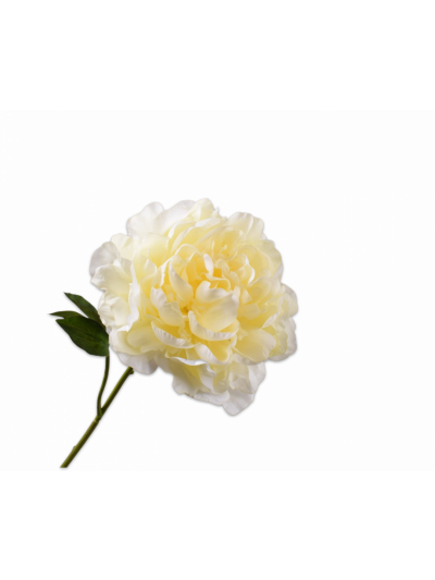 Silk-ka | Pioen Steel Geel | 57 cm