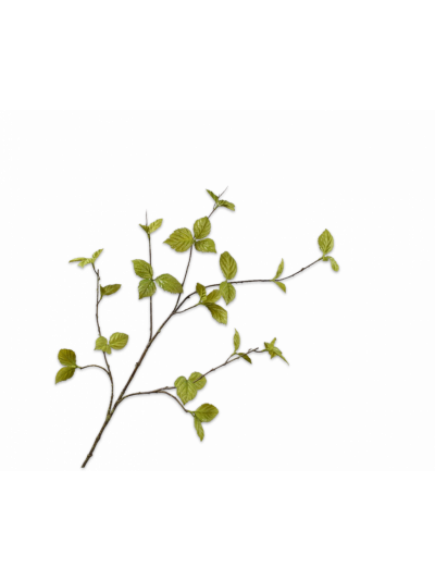 Silk-ka | Bladtak groen | 116 cm
