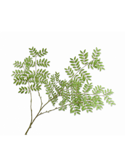 Silk-ka | Bladtak groen | 144 cm