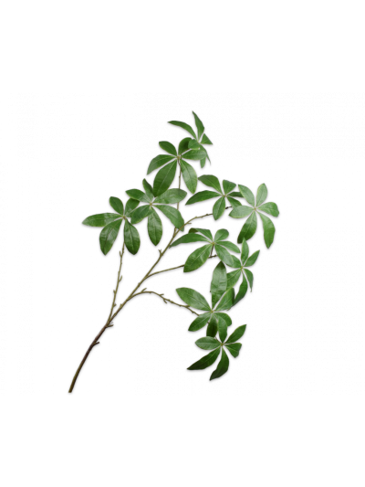 Silk-ka Bladtak Groen 123cm - Vorspaget Home