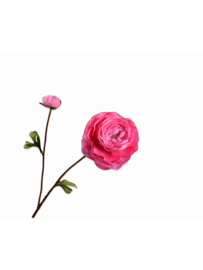 Silk-ka Ranonkel tak Donkerroze 65cm - Vorspaget Home