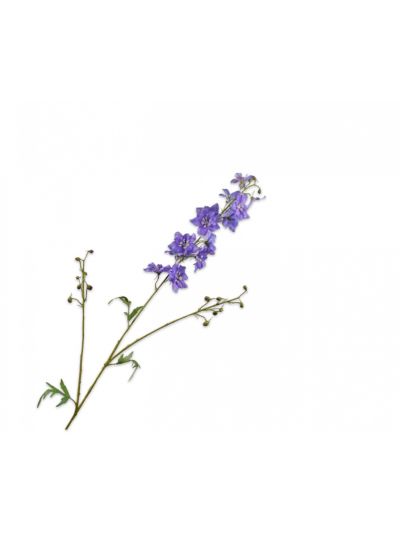 Silk-ka Delphinium Tak Lavendel/Paars 101cm - Vorspaget Home