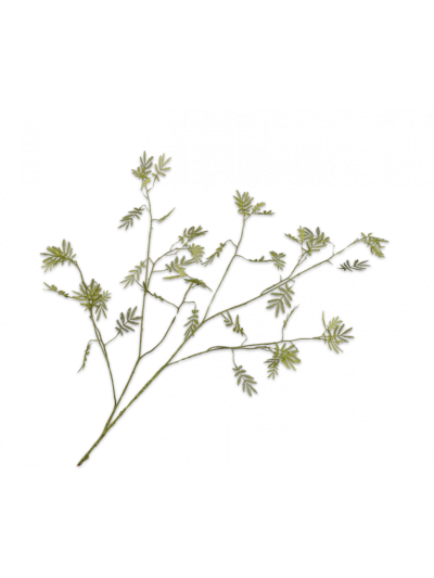 Silk-ka | Mimosa Tak Groen | 127cm | Vorspaget Home
