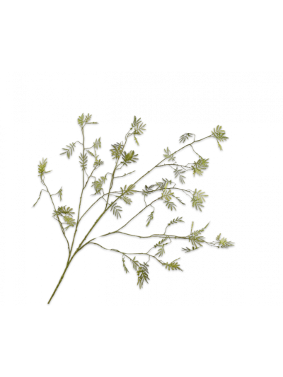 Silk-ka | Mimosa Tak Groen | 132cm | Vorspaget Home