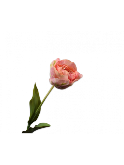 Silk-ka Tulp steel Roze/Groen 84cm - Vorspaget Home