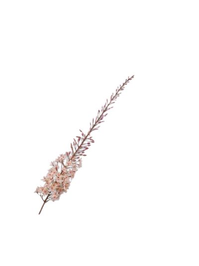 Silk-ka Eremurus Steel Crème 161cm - Vorspaget Home