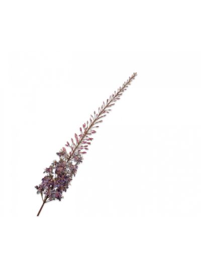 Silk-ka Eremurus Steel Paars 161cm - Vorspaget Home