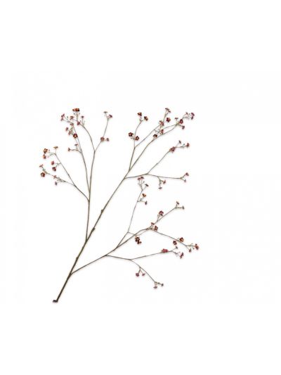 Silk-ka Vergeetmeniet Tak Paars 132cm - Vorspaget Home