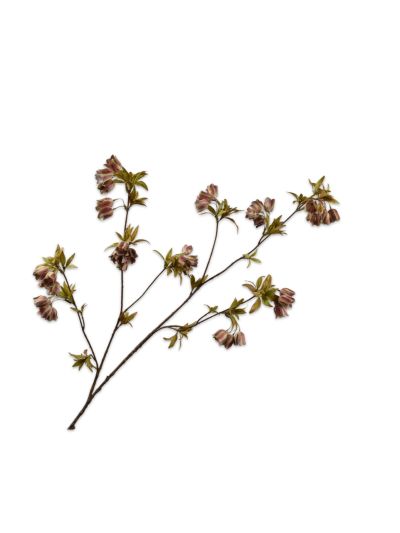 Silk-ka Campanula Tak Groen/Bruin 112cm - Vorspaget Home