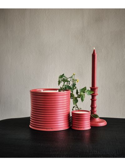 Loewe Tomato Leaves Geurkaars Small