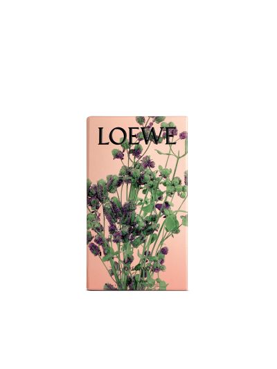 Loewe huisparfum oregano