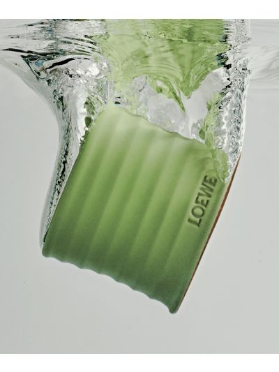 Loewe  Cucumber  Geurkaars  Small