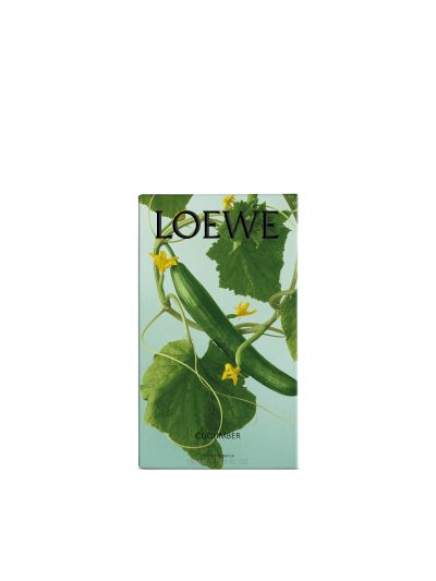 Loewe huisparfum cucumber 