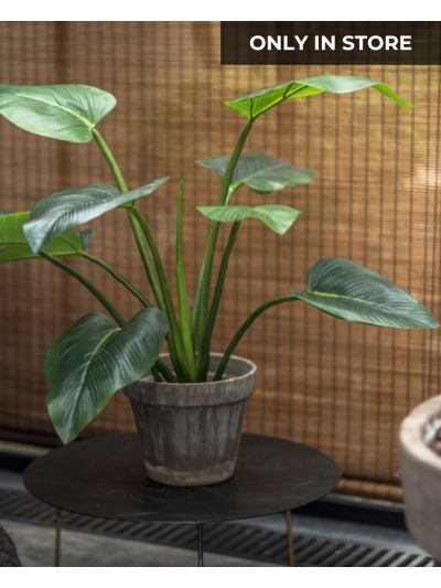 Silk-ka Plant Alocasia Groen 122 cm - Vorspaget Home