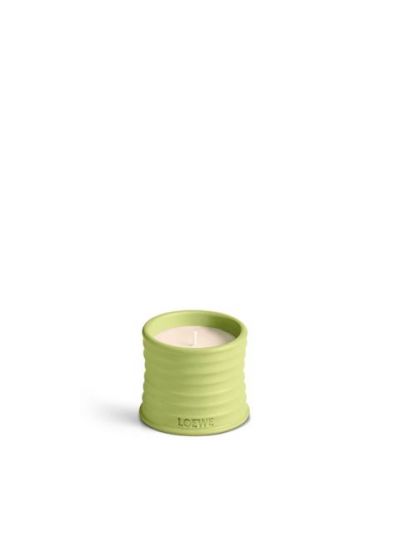 Loewe  Cucumber  Geurkaars  Small