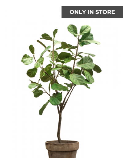 Silk-ka Plant Ficus Groen 160 cm - Vorspaget Home