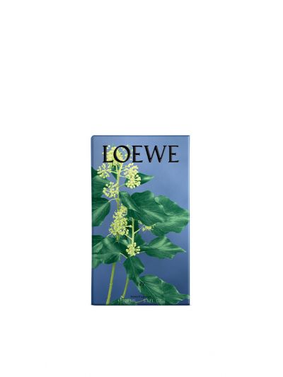 Huisparfum Ivy Loewe 