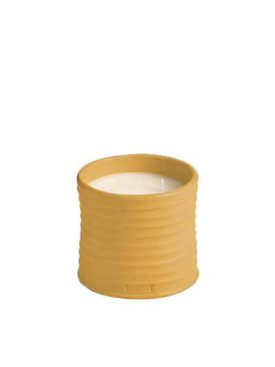Loewe | Wasabi | Geurkaars | M | Vorspaget Home