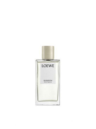 Loewe | Mushroom | Huisparfum