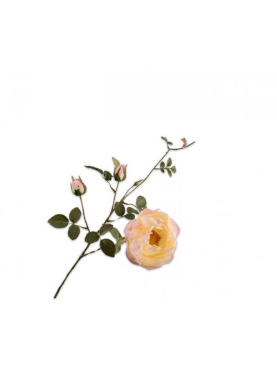 Silk-ka | Roos Tak Roze/Geel | 80cm