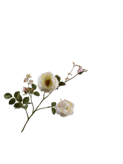 Silk-ka | Roos Tak Wit | 102cm