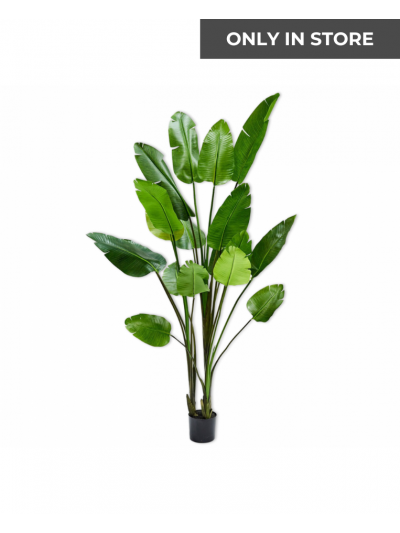 Silk-ka | Plant Strelitzia Groen | 183 cm | Only in Store!