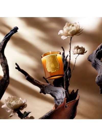 Trudon Altaïr Classic Geurkaars - Vorspaget Home